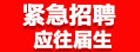 博为峰(北京)信息技术有限公司招聘信息
