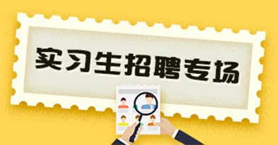 智联招聘 厦门IT招聘平台专区1.招聘信息