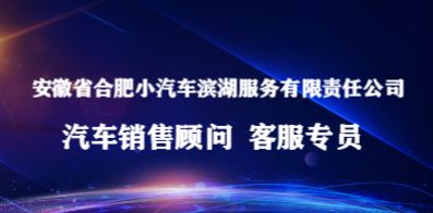 安徽省合肥小汽車濱湖服務有限責任公司